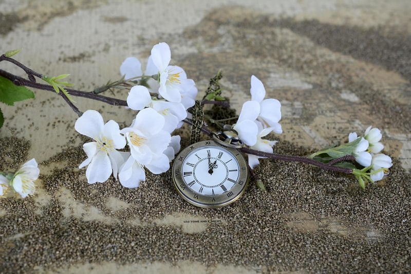 Time Travel